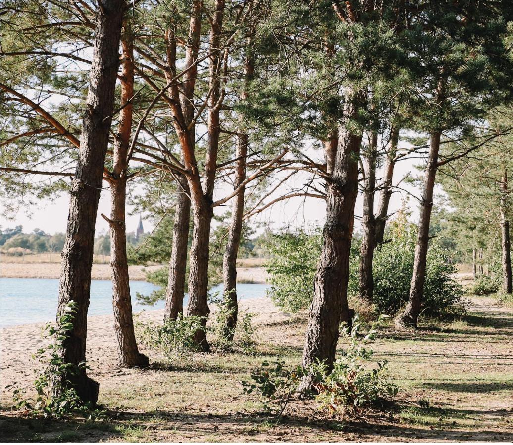 Bajka Hotel & Resort Grodziec 외부 사진